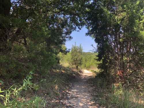 Trail through the Senna Hills green space